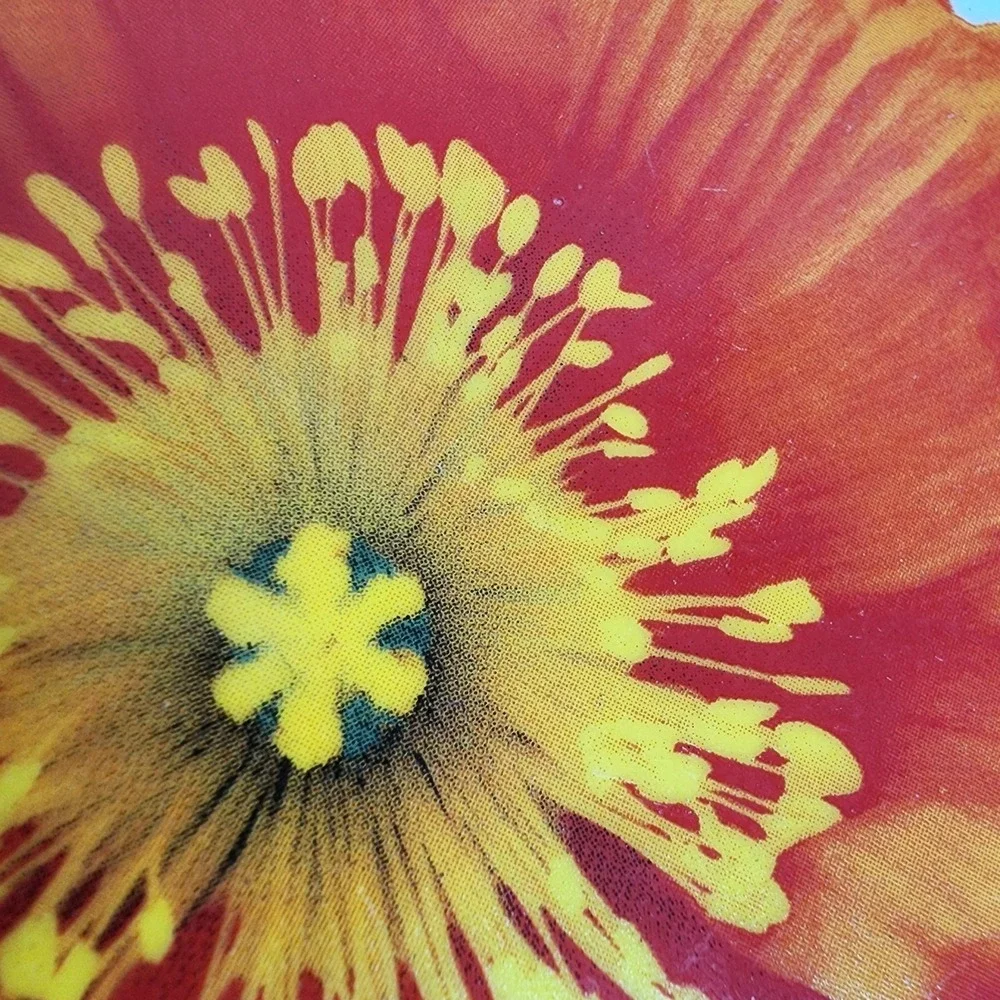 Isaac Mizrahi For Target Red Poppy Salad Plate 6